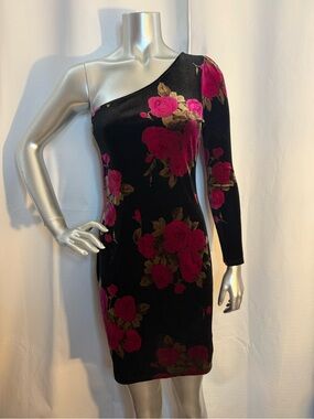Scott One-Shoulder Black Velvet Dress with Fuchsia Rose Print